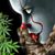 Angie Dickerson's profile image