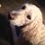 Debbie Lovelock's profile image