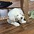 Amanda Lehman's profile image