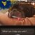 Toni Sigler's profile image