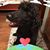 Joanne Graves's profile image