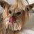 Jill Fluke's profile image