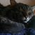 Jacquie Crumley's profile image