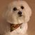 DeAnn Sterling Bias's profile image