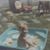 Cherie Cincilla's profile image