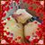 Sindy Michel's profile image