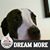 Nathan Bruce's profile image