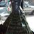 Courtney J. Turman's profile image