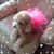 Jane Clarke's profile image
