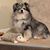 Gwen Pearl Anderson's profile image