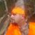 Dell White's profile image