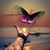 Pelesa Pelesa's profile image