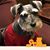 Dianna Kidd Kinkead's profile image