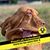 Jan Stallings's profile image