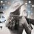 Lisa Laverty's profile image