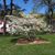 Gerri Hurley Moore's profile image