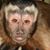 Karen Mack's profile image