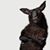 Ron Monserrate's profile image