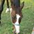 Carolyn Reeves Frazier's profile image