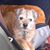 Vicki McFadin's profile image