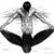 Brandon Morris's profile image