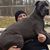 Sam Melven's profile image