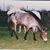 Janet Estep Lawson's profile image