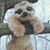Penny Langley's profile image