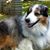 Scott Bolestridge's profile image