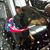 Pat Hatley Clawson's profile image