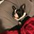 Jessica Black Cieszynski's profile image