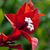 Sharon Merkle's profile image