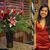 Lisa Nguyen's profile image