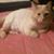 Rosalin Meredith's profile image