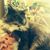 Jasper Levien's profile image