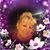 Dawn DeRushia's profile image