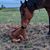Dawn Hubbard's profile image