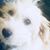 Eleonore Claire's profile image