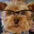 Jamie Kay Bunte's profile image
