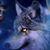 Amy Renee Duncan's profile image