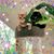 Johna Dean's profile image