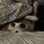 Maryann Matlaga's profile image