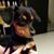 Devin Brew's profile image