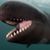 Simon Kinsler's profile image