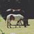 Lizzy Magill's profile image