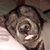 Shaundrea Teeter's profile image