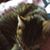 Marie Guenin's profile image
