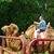 Cindy Lamm's profile image