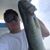David Roziecki's profile image