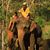 Carlos Henrique Lemos's profile image